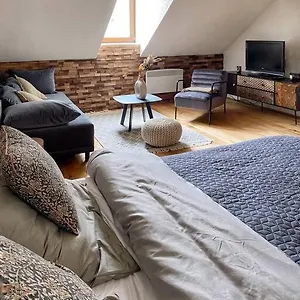 Cozy And Warm In The Heart Of Karlovy Vary
